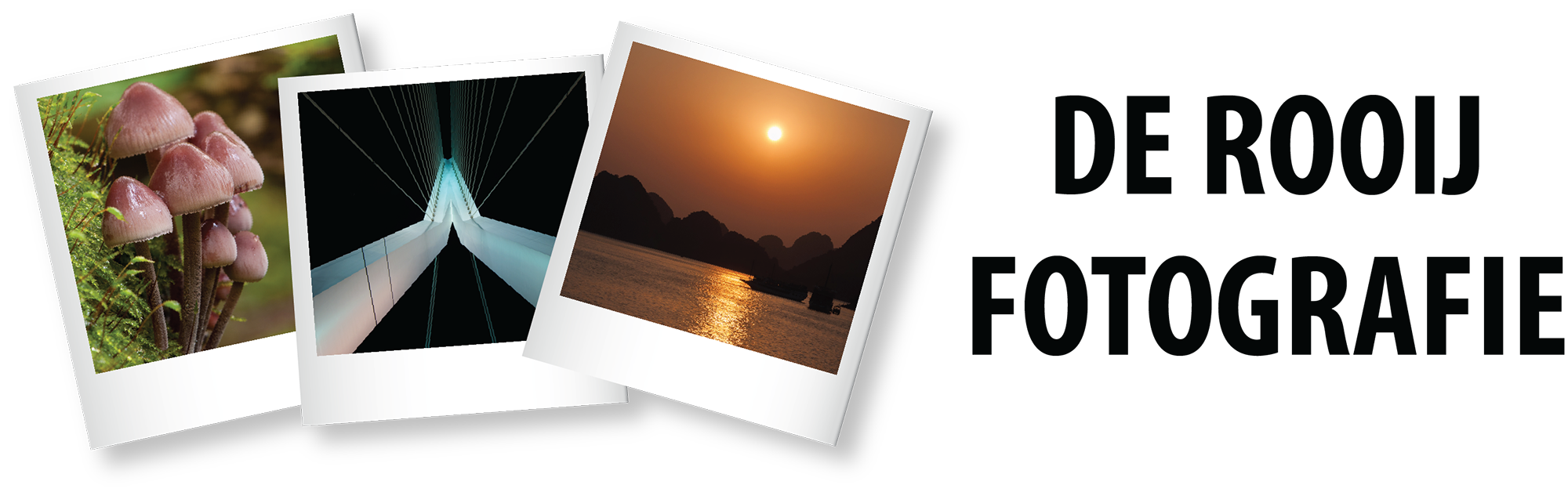 Logo De Rooij fotografie - Janlambertphotography.com