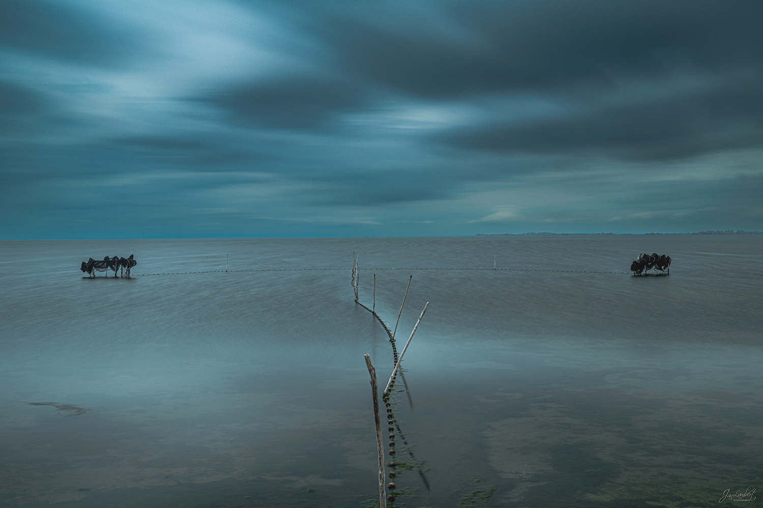 Foto Camargue - Janlambertphotography.com
