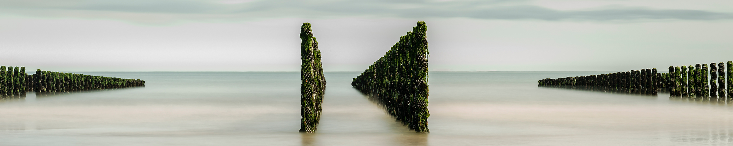 foto mosselpaaltjes opaalkust - Janlambertphotography.com